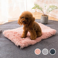 Load image into Gallery viewer, Winter Dog  Mat
