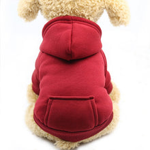 Load image into Gallery viewer, Winter pet Hoodies